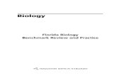 Florida Biology Benchmark Review and Practice 1H/BiologyEOCETestPrep.pdf · 2014-05-12 · Florida Biology Benchmark Review and Practice Biology ... 3 A cheetah, like those shown