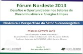 Fórum Nordeste 2013 - .: Sindicato da Indústria do ... · Dinâmica e Perspectivas do Setor Sucroenergético Fórum Nordeste 2013 Desafios e Oportunidades nos Setores de Biocombustíveis