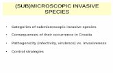 (SUB)MICROSCOPIC INVASIVE SPECIES - unizg.hr1].pdf · European chestnut –sensitive but infecting fungus is mostly of hypovirulent strain. European chestnut distribution pattern