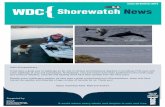Issue 20 Summer 2015 Shorewatch Shorewatch News · 2015-08-10 · somebody breaking the law you can report them by calling 101. If you witness an incident note down the date, time,