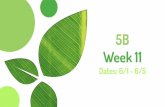 Week 11 5B Dates: 6/1 - 6/5...The slideshow below contains the mini lesson videos, requirement s of this project, and this week’s assignment s. The slideshow can also be found on