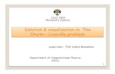 Solution & visualization in The Sturm – Liouville problem · Solution & visualization in The . Sturm – Liouville problem. 1. JASS 2009. Alexandra Zykova. superviser: PhD Vadim