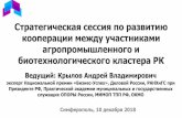 Стратегическая сессия по ...ckr82.ru/wp-content/uploads/2018/12/proektnaja-sessija-krym_10.12.… · •Формирование плана развития