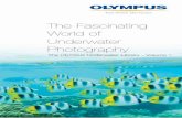 The Fascinating World of Underwater Photography...The Fascinating World of Underwater Photography Olympus Underwater Library Vol. 1 Disclaimer: While every endeavour has been made