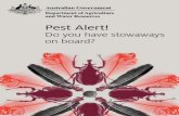 Department of Agriculture and Water Resources Pest Alert! · 2019-09-23 · congregate on shipping containers and various other cargo items which may be loaded onto vessels. These