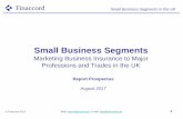 Small Business Segments - Finaccord€¦ · Small Business Segments: Marketing Business Insurance to Major Professions and Trades in the UK is a report and interactive database -