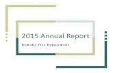 2015 Annual Report - Bemidji · Page 3 2015 Annual Report ... confined space rescues, high angle rescues, water or ice rescues, and medicals Hazardous Conditions (No Fire) Carbon