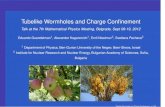 Tubelike Wormholes and Charge Conﬁnement · Tubelike Wormholes and Charge Conﬁnement Talk at the 7th Mathematical Physics Meeting, Belgrade, Sept 09-19, 2012 Eduardo Guendelman1,