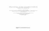 Physiology of the Graaﬁan Follicle and Ovulationcatdir.loc.gov/catdir/samples/cam034/2003545139.pdf · 2003-08-18 · 2 Physiology of the Graaﬁan follicle and ovulation classical