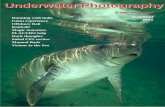 Underwater Photography - SENSACIONES.org · have been completely revised and expanded offering exciting new opportunities. The deadline for entry is September 28, 2002. One of the