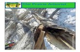 The Prairie Arborist - ISA Prairie Chapter · Find an Arborist, If you have your 2013 membership paid up AND you are a certified arborist, you can have your name put on our website
