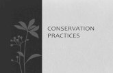 Conservation Practices - Sustainable Agriculture...Water Conservation •Water is the source of life for any farm. Some direct uses for water include drinking, irrigation for farming,