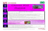 Clover Kid RabbitClover Kid Rabbit Page 4 Color the Rabbits Follow the directions on how to color each breed of rabbit. New Zealand White The New Zealand rabbit can be white, red,