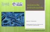 Presentación de PowerPoint - Betelgeux · Ejemplo: DECRETO 136/2005, de 5 de julio, del Gobierno de Aragón, por el que se establecen medidas especiales para la prevención y control