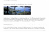 Portofino Regional Park in Italy - Volante-Project · Portofino Regional Park in Italy Mediterranean landscape with strong conservation interests Introduction Portofino is a famous