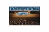  · ISBN0-558-46773-3 Learning & Memory: Basic Principles, Processes, and Procedures, Fourth Edition, by W. Scott Terry. Published by Allyn & Bacon.