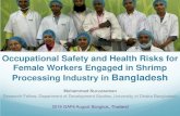 Occupational Safety and Health Risks for Female Workers ...€¦ · Occupational Safety and Health Risks for Female Workers Engaged in Shrimp ... Bangladesh, 2015-16 . Role in the