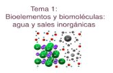 Tema 1: Bioelementos y biomoléculas: agua y sales inorgánicas · BLOQUE 1. LA BASE MOLECULAR Y FÍSICO-QUÍMICA DE LA VIDA. I. RECOMENDACIONES TEMA 1.-BIOELEMENTOS Y BIOMOLÉCULAS.