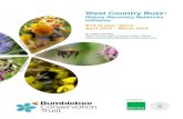 West Country Buzz - Bumblebee Conservation Trust...Our focus area is a 5 km strip along the North Devon coast in which we will pilot approaches towards development of a Nature Recovery