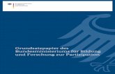 Grundsatzpapier des Bundesministeriums für …...Fördermaßnahme „Open Photonik“: Im Rahmen des Programms „Photonik Forschung Deutschland“ verfolgt das M F mit einer neuen