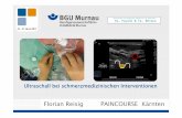 Florian Reisig PAINCOURSE Kärntenpaincourse.com/upload/pdf-b-17/reisig-ultraschall-bei-schmerz-17.pdfcomparison of nerve stimulation and ultrasound guided intraepineural block]. Anaesthesist.