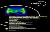 2012 Lectures on Magnetic Resonance - ESMRMB · 2018-05-04 · 2012 Lectures on Magnetic Resonance Educational courses, exercises, and practical demonstrations on MR Physics and Engineering
