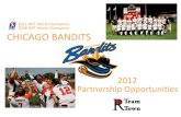 2011 NPF World Champions 2008 NPF World Champions CHICAGO BANDITS · 2011-11-14 · OWNERSHIP Bill Sokolis • Sole owner 2008-present, co-owner 2005-2008 • Founder and co-owner
