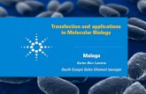 Transfection and applications in Molecular Biology · Transfection and applications in Molecular Biology Malaga Karim Ben Lamine South Europe Sales Channel manager April 8, 2014 Confidentiality
