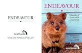 Islands of ENDEAVOUR Australia€¦ · including green sea turtles, as well as kangaroos and wallabies on land. Best for: ... An exciting mix of beach, nature and city life, travel