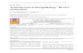 Actinomycosis in histopathology - Review of Actinomycosis in histopathology - Review of literature
