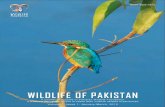 Volume 1: Issue 1: January - March, 2012 · PDF file Volume 1: Issue 1: January - March, 2012 WILDLIFe OF PAIstAN 3 EDITORIAL Pakistan Wildlife Foundation (PWF) was established in