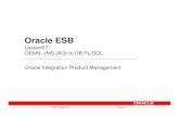 Oracle ESB...ESB Lesson07 Page 2 JMS 1.1 interface memory file database J2EE application Core Java ESB, BPEL JMS 1.1-compliant messaging provider 3 persistence options ESB Lesson07