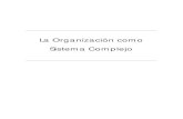 La Organización como Sistema Complejo · 2017-09-20 · La Organización como Sistema Dinámico Complejo 118 cognitivos, comportamiento organizativo, planificación y predicción