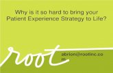 Why is it so hard to bring your Patient Experience …...abrion@rootinc.co m Why is it so hard to bring your Patient Experience Strategy to Life? PATIENT EXPERIENCE MOVEMENT\爀屲The