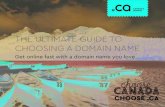The ultimate guide to choosing a domain name · top-level domain. second-level domain. 6 The . second-level domain. is the part of the domain that comes immediately before or to the