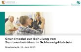 Grundmodul zur Schulung von Seniorenbeiräten in Schleswig ... · Grundmodul zur Schulung von Seniorenbeiräten in Schleswig-Holstein Norderstedt, 18. Juni 2015 ... und gefilmt wird.