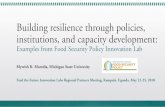 Building resilience through policies, institutions, and ...€¦ · Building resilience through policies, institutions, and capacity development: Examples from Food Security Policy