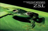 INSTITUTE OF ZOOLOGY REVIEW 2013/2014 - UK Zoos & Animal ... Annual Review 2013-14.pdf · in wild animal health and wild animal biology with the Royal Veterinary College and an MSc