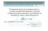 “Programa para la recuperación y conservación del Desmán ... · “Programa para la recuperación y conservación del Desmán Ibérico (Galemys pyrenaicus) y su hábitat en Castilla