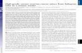 High-grade serous ovarian cancer arises from fallopian ... · High-grade serous ovarian cancer arises from fallopian tube in a mouse model Jaeyeon Kima, Donna M. Coffeyb, Chad J.