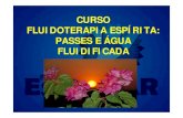 CURSO FLUIDOTERAPIA ESPÍRITA: PASSES E ÁGUA FLUIDIFICADA · 2017-03-15 · ÁGUA • Em seu livro Mensagens ocultas na água, o Dr. Emoto relata como obtém as fotografias: •