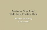 Anatomy Final Exam Slideshow Practice Quiz€¦ · Slideshow Practice Quiz MMHS Anatomy Chitraroff . Directions Get out a piece of paper and number #1-30. Once finished, check your