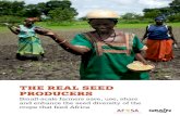 THE REAL SEED PRODUCERS - AFSA · 2019-07-03 · THE REAL SEED PRODUCERS Small-scale farmers save, use, share and enhance the seed diversity of the crops that feed Africa. About this
