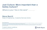 Just Culture: More important than a Safety Culture? · PDF file 2017-03-29 · • ‘Just Culture’ means a culture in which front-line operators or other persons are not punished