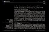 Glial Cell Contributions to Auditory Brainstem Developmentdepts.washington.edu/rubelab/personnel/Cramer2016.pdf · 2016-11-09 · Glial Cell Contributions to Auditory Brainstem Development.