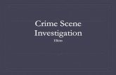 Crime Scene Investigation - WordPress.com · The Seven S’s of Crime Scene Investigation 1. Secure the scene 2. Separate the witnesses 3. Scan the scene 4. Seeing the scene 5. Sketch