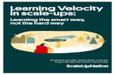 Learning Velocity in scale-ups...Learning Velocity in scale-ups: Learning the smart way, not the hard way Scale-ups are young innovative ventures that have moved beyond the start-up