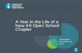 A Year in the Life of a New IHI Open School Chapter...New Chapter Coaching Team •Virtual face-to-face conversations to coach and support Chapter •We coach new Chapters, guiding