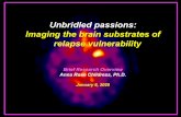 Unbridled passions: Imaging the brain substrates of relapse vulnerability · 2020-02-05 · Outline. Context : • Two brain systems implicated in relapse vulnerability: “GO!”