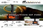 The eVoluTion of fire - Woolly Mammoth Stoves · our SToVeS The Woolly Mammoth 5 is the perfect cosy stove for small to medium sized rooms, offering an ample ... kw kw 6 7 kw THE